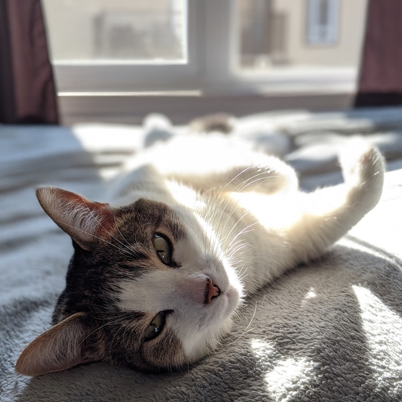 Meet your Posher, Alexis - Picture 12 of 16